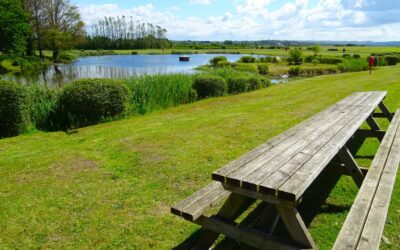 Half Price Pitches in December